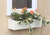 Shed Window Flower Box